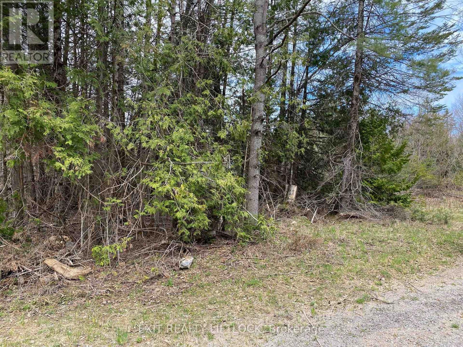 3458 Old Hastings Road, Wollaston, Ontario  K0L 1P0 - Photo 4 - X12136514