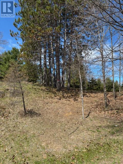 26686 Highway 62 S, Bancroft (Dungannon Ward), Ontario  K0L 1C0 - Photo 1 - X12136726