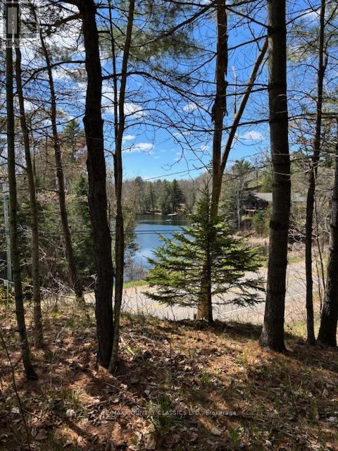 26686 Highway 62 S, Bancroft (Dungannon Ward), Ontario  K0L 1C0 - Photo 10 - X12136726