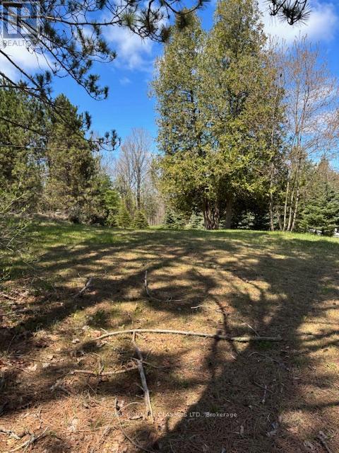 26686 Highway 62 S, Bancroft (Dungannon Ward), Ontario  K0L 1C0 - Photo 11 - X12136726