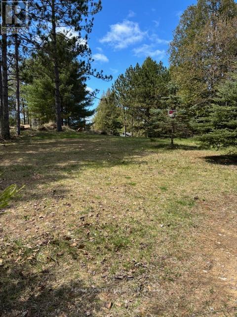 26686 Highway 62 S, Bancroft (Dungannon Ward), Ontario  K0L 1C0 - Photo 2 - X12136726