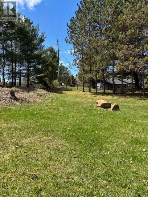 26686 Highway 62 S, Bancroft (Dungannon Ward), Ontario  K0L 1C0 - Photo 4 - X12136726