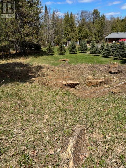 26686 Highway 62 S, Bancroft (Dungannon Ward), Ontario  K0L 1C0 - Photo 8 - X12136726