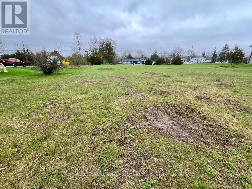 Pt Lt 5 Percy Boom Road, Trent Hills (Campbellford), Ontario  K0L 1L0 - Photo 4 - X12137213