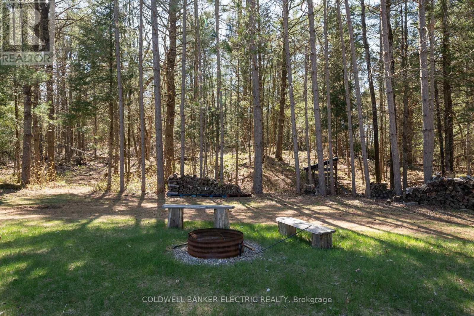 8290 Highway 28, North Kawartha, Ontario  K0L 1A0 - Photo 37 - X12137312