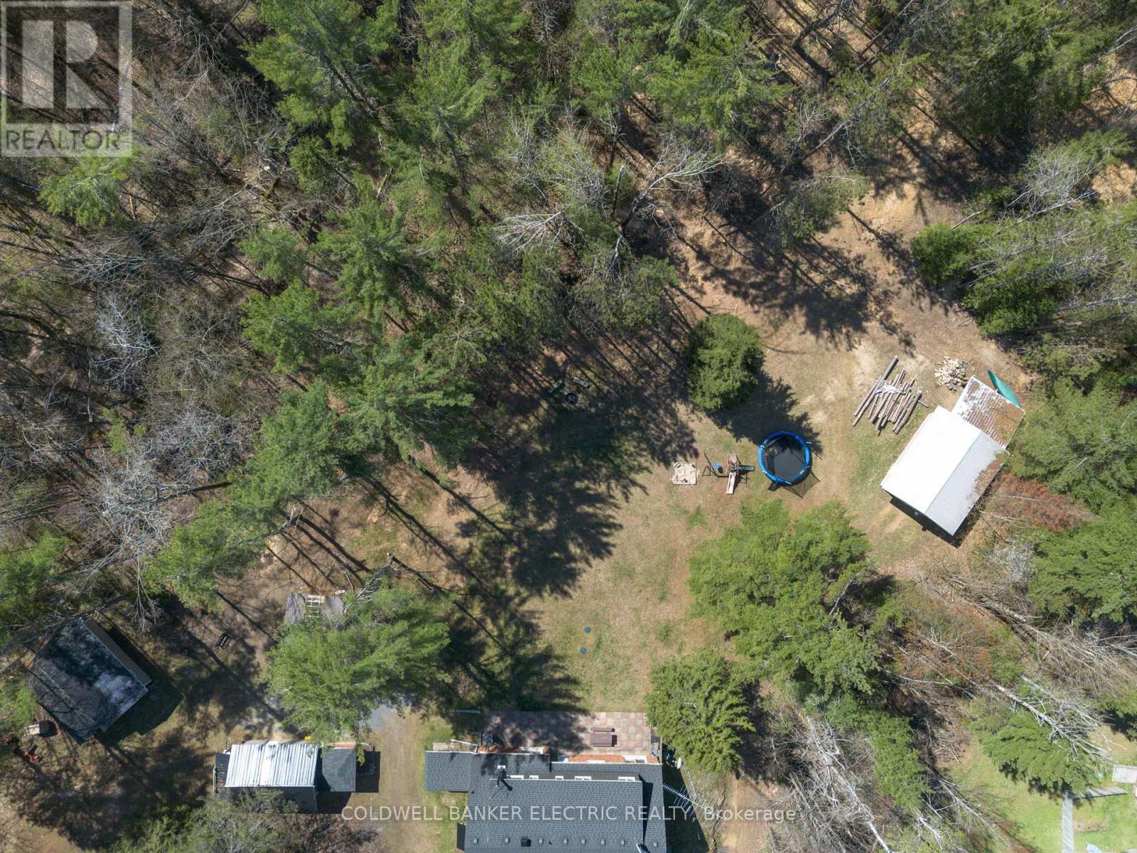 8290 Highway 28, North Kawartha, Ontario  K0L 1A0 - Photo 47 - X12137312
