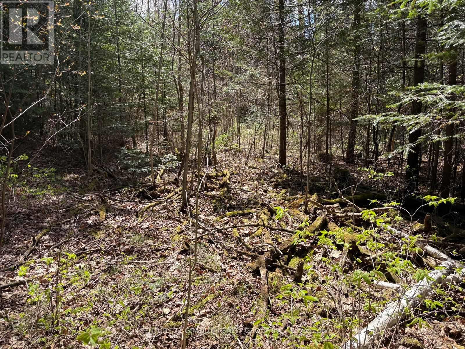 00 Monck Road, Faraday, Ontario  K0L 1C0 - Photo 1 - X12138039