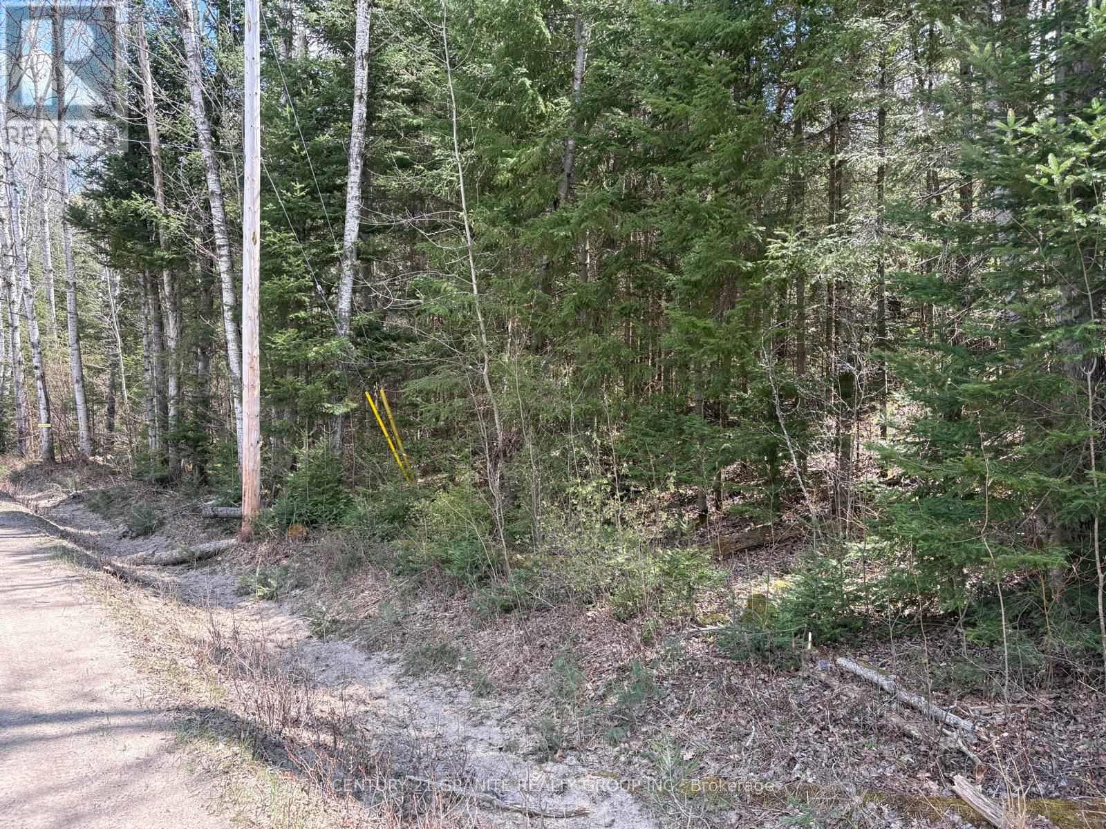 00 Monck Road, Faraday, Ontario  K0L 1C0 - Photo 2 - X12138039