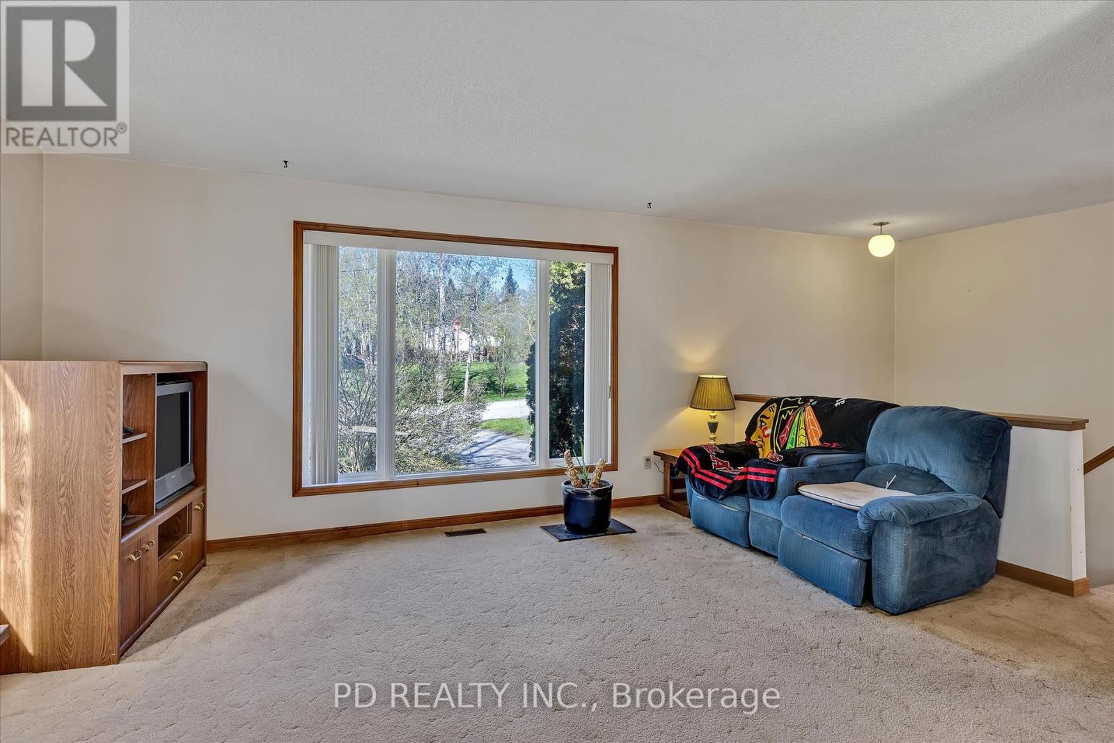 40 Clearview Drive, Kawartha Lakes (Emily), Ontario  K0L 2W0 - Photo 5 - X12139327