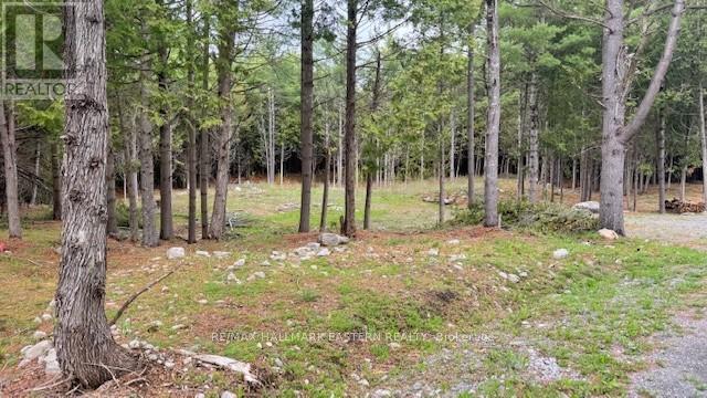 593 COUNTY ROAD 40, douro-dummer, Ontario