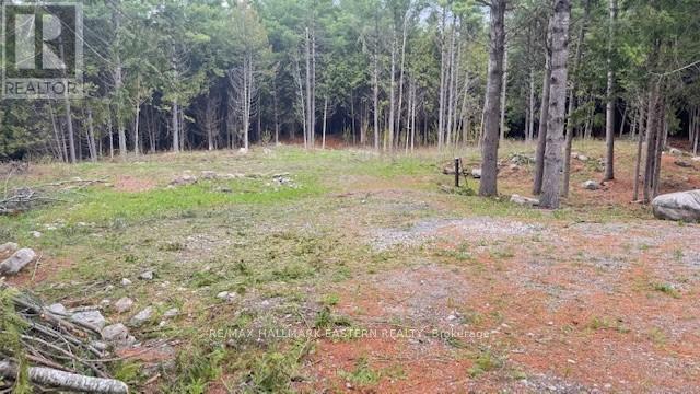 593 County Road 40, Douro-Dummer, Ontario  K0L 2V0 - Photo 2 - X12139379