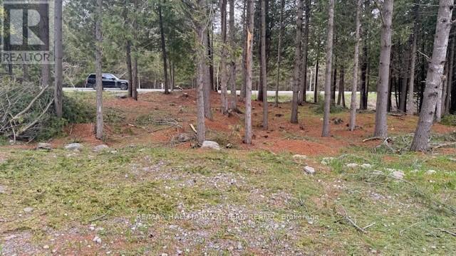593 County Road 40, Douro-Dummer, Ontario  K0L 2V0 - Photo 6 - X12139379