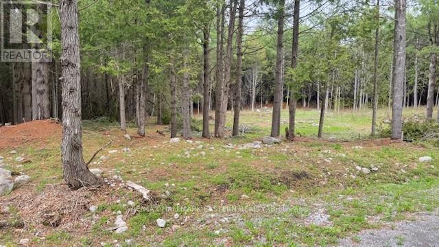 593 County Road 40, Douro-Dummer, Ontario  K0L 2V0 - Photo 7 - X12139379
