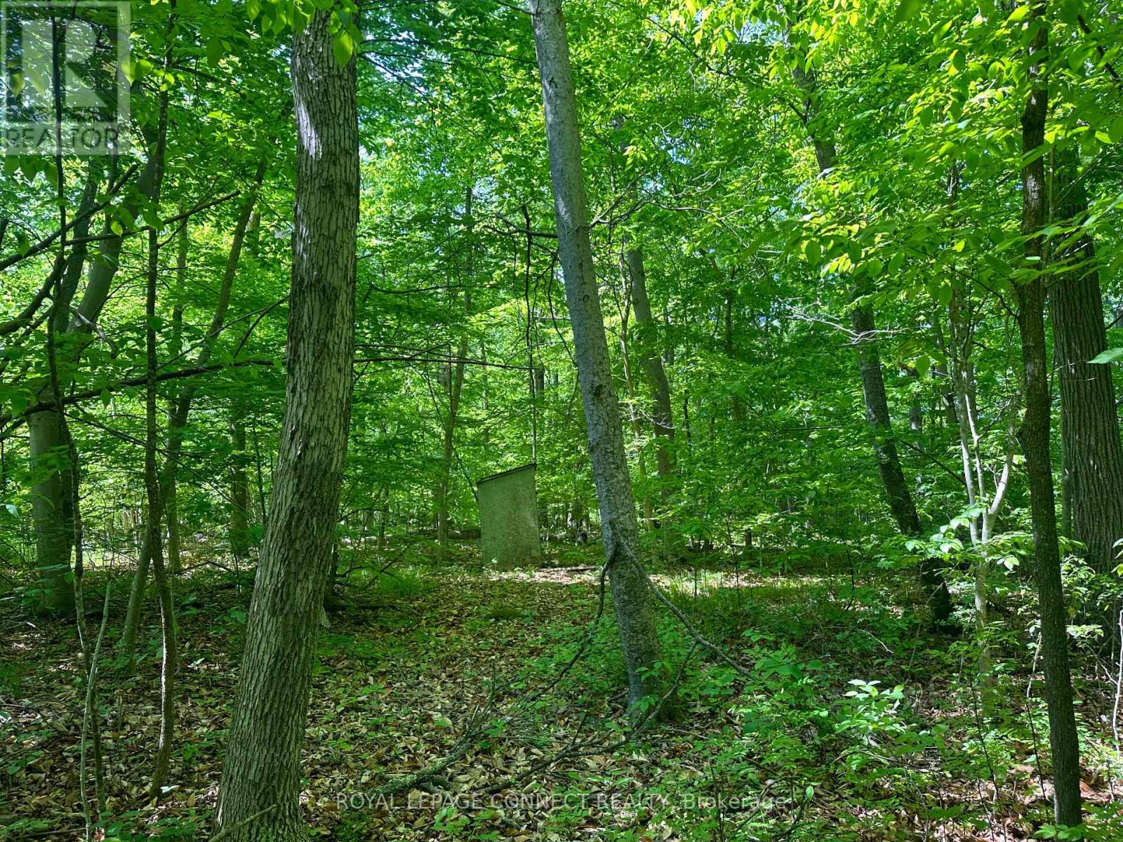 20 RIVERSIDE DRIVE, trent hills, Ontario