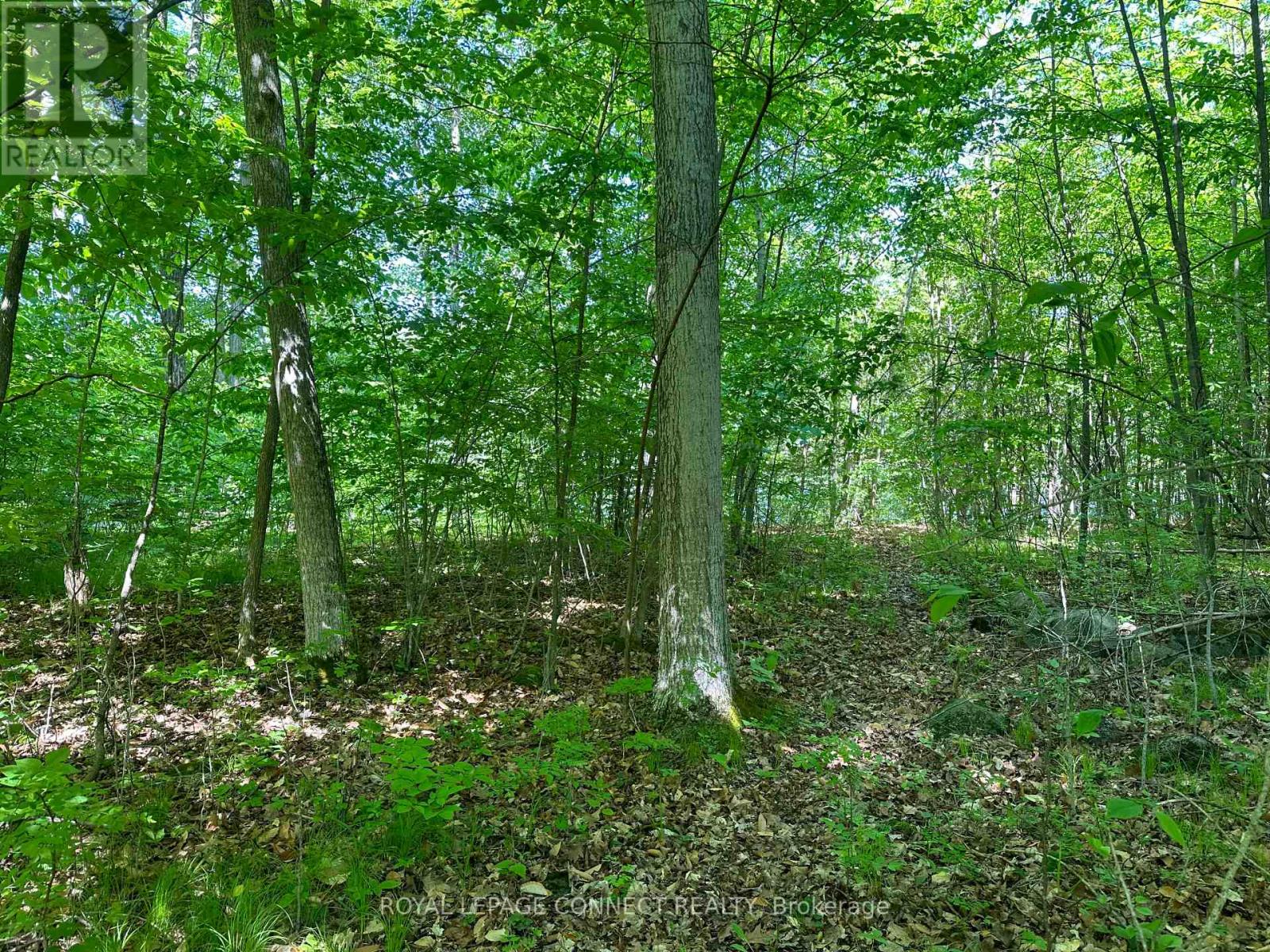 20 Riverside Drive, Trent Hills, Ontario  K0L 1L0 - Photo 2 - X12139710