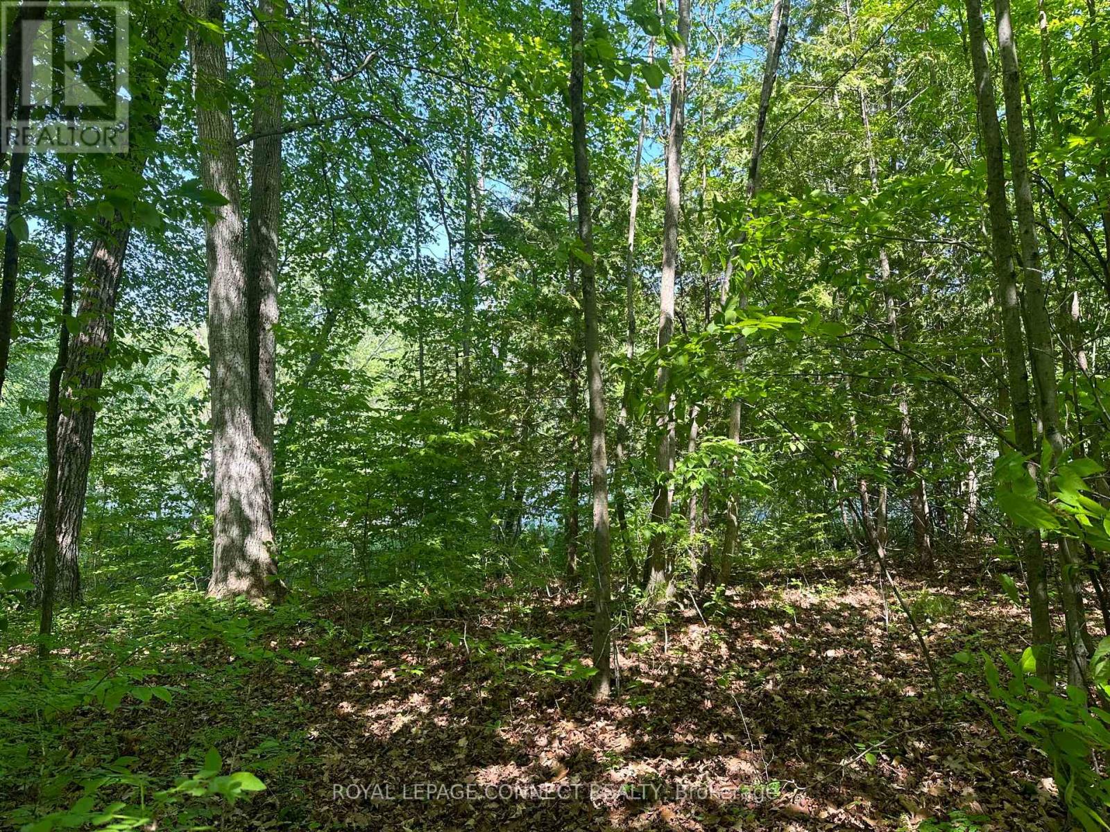 20 Riverside Drive, Trent Hills, Ontario  K0L 1L0 - Photo 3 - X12139710