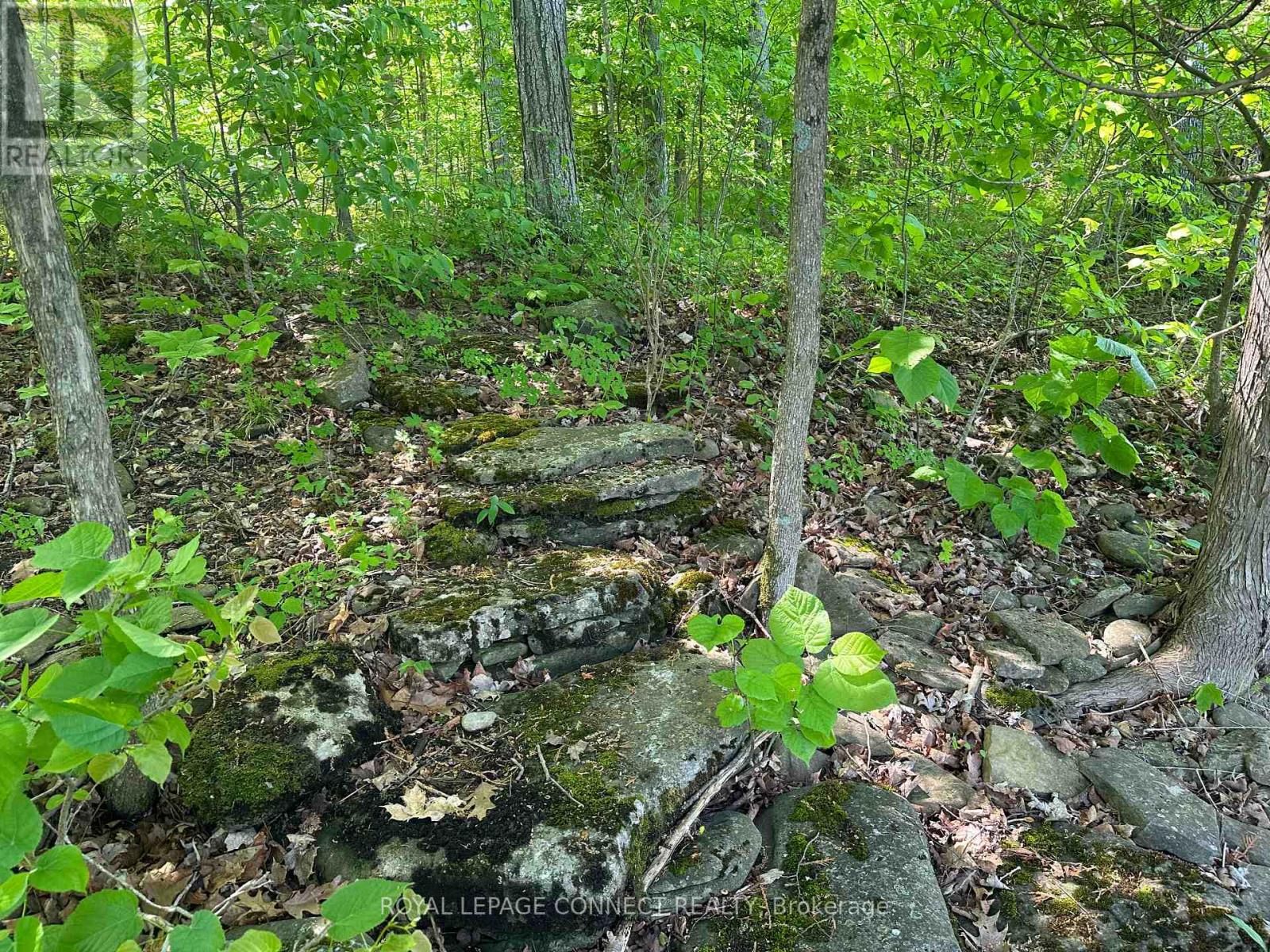 20 Riverside Drive, Trent Hills, Ontario  K0L 1L0 - Photo 6 - X12139710