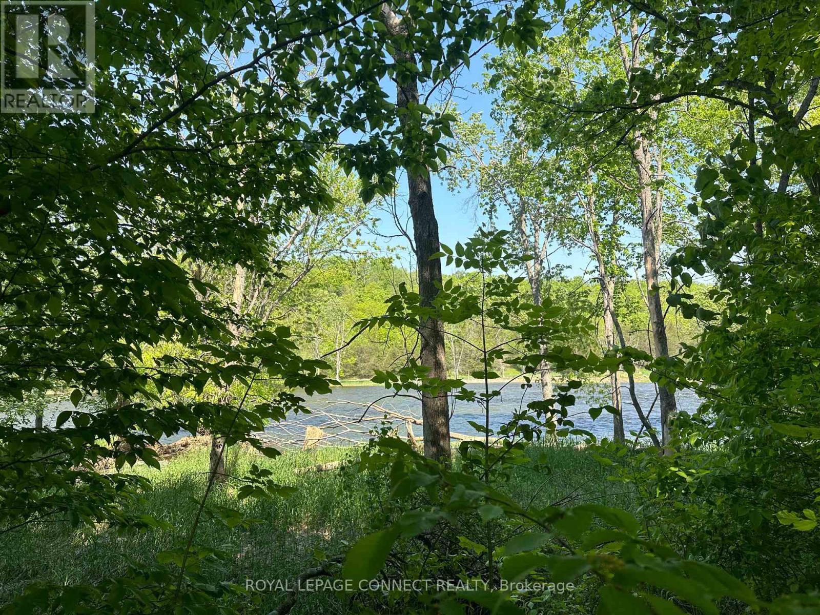 20 Riverside Drive, Trent Hills, Ontario  K0L 1L0 - Photo 8 - X12139710