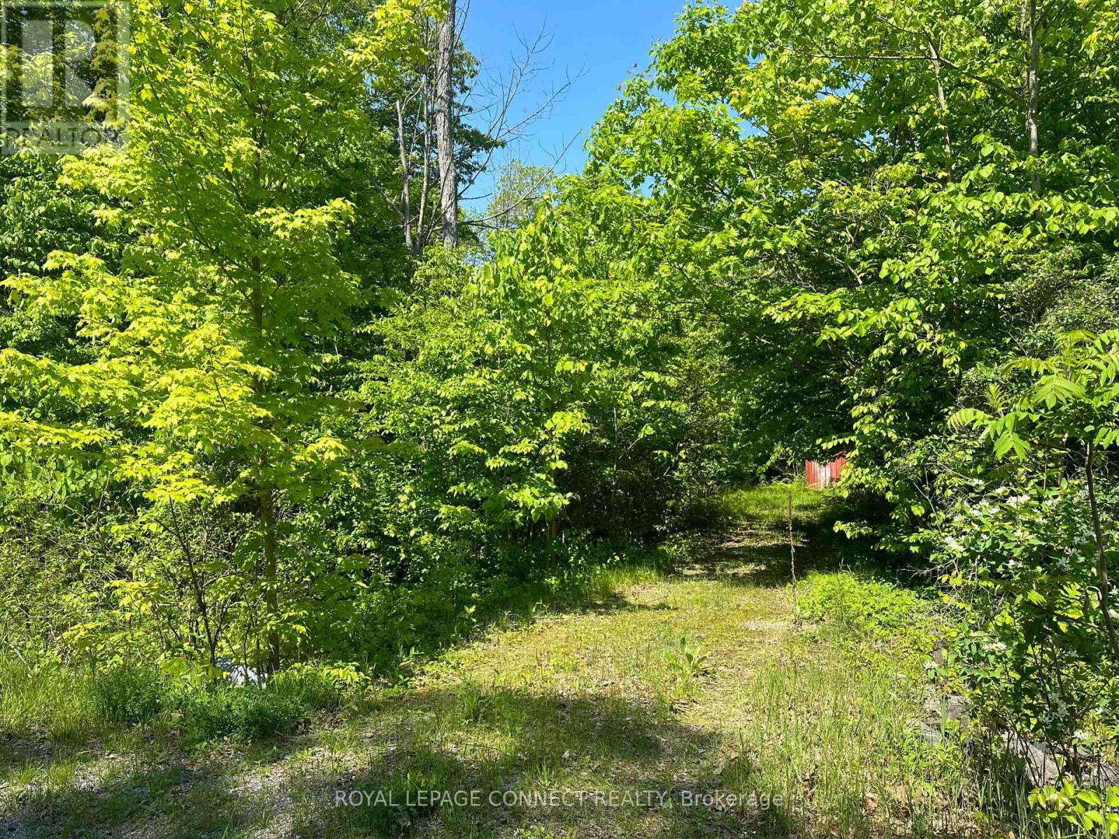 21 RIVERSIDE DRIVE, trent hills, Ontario