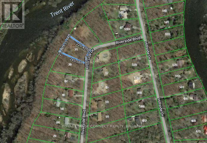 21 Riverside Drive, Trent Hills, Ontario  K0L 1L0 - Photo 13 - X12139768