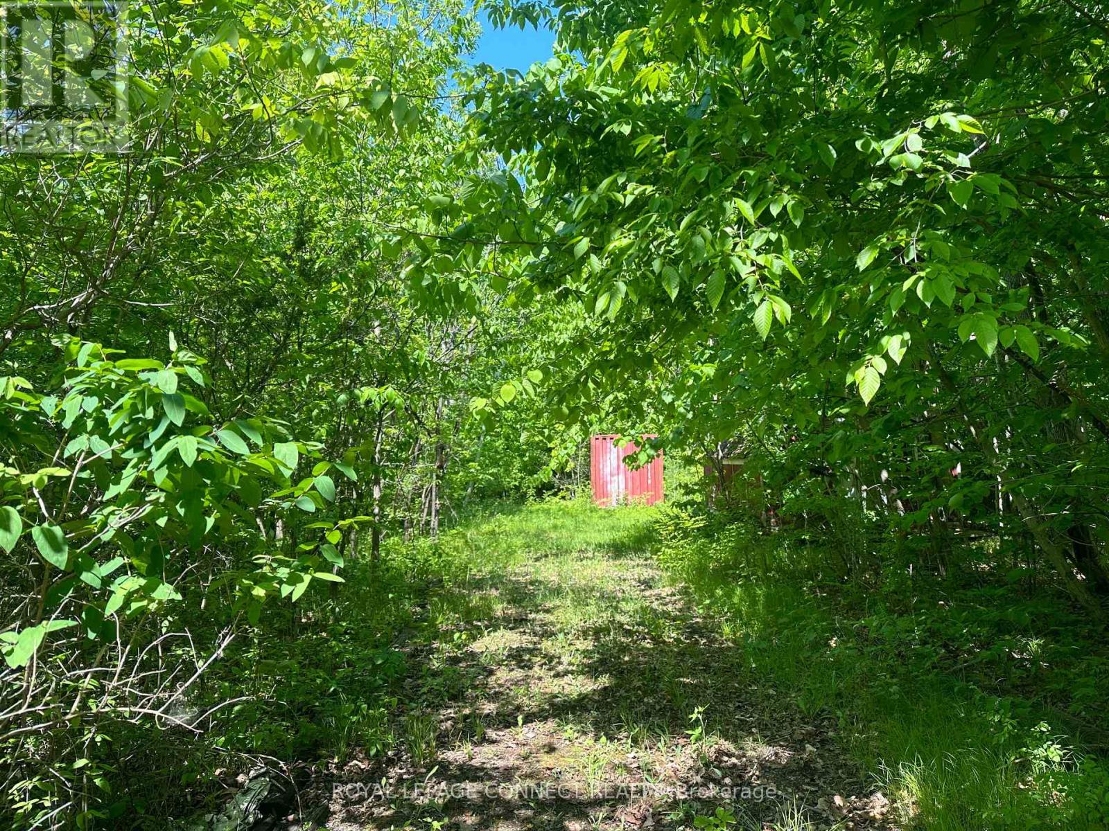 21 Riverside Drive, Trent Hills, Ontario  K0L 1L0 - Photo 2 - X12139768