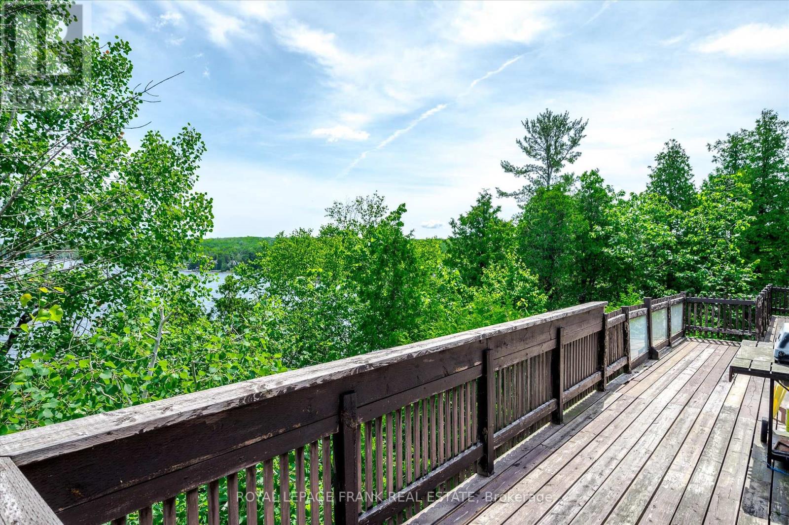 1194 Birchview Road, Douro-Dummer, Ontario  K0L 2H0 - Photo 29 - X12140865