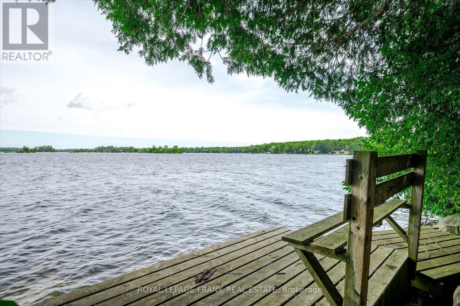 1194 Birchview Road, Douro-Dummer, Ontario  K0L 2H0 - Photo 6 - X12140865
