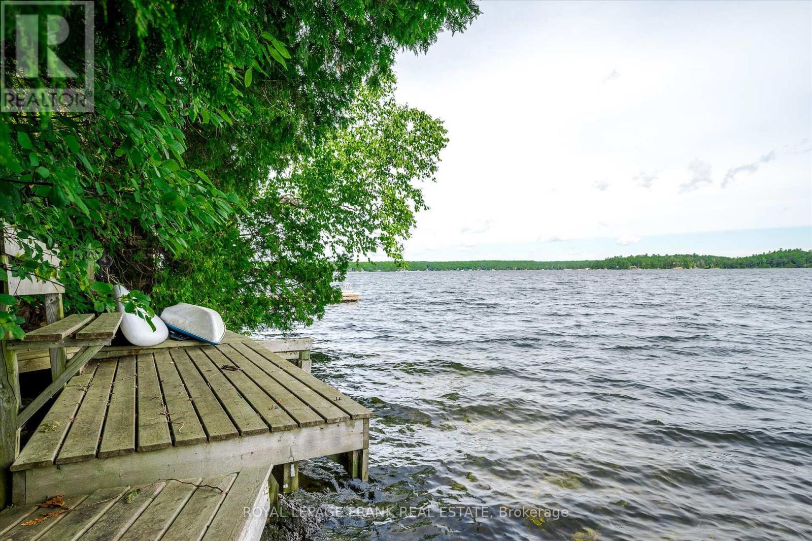 1194 Birchview Road, Douro-Dummer, Ontario  K0L 2H0 - Photo 7 - X12140865