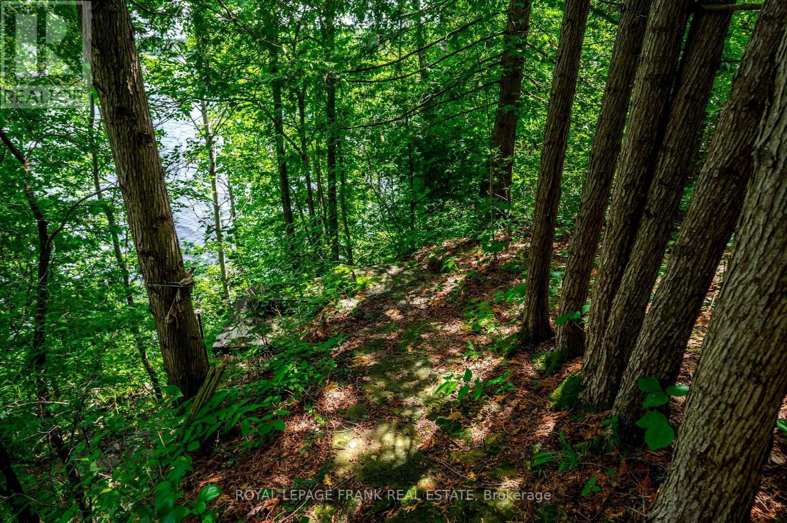 1194 Birchview Road, Douro-Dummer, Ontario  K0L 2H0 - Photo 8 - X12140865