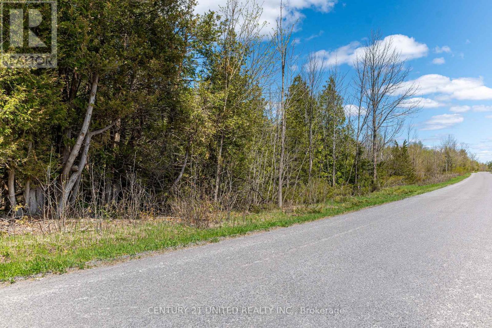 1030 Birchview Road, Douro-Dummer, Ontario  K0L 2H0 - Photo 11 - X12142473