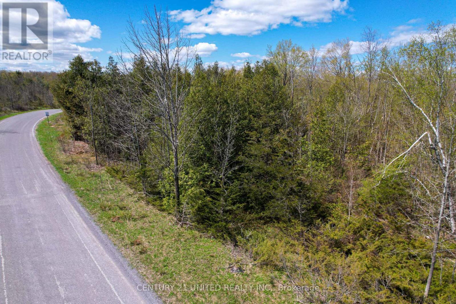 1030 Birchview Road, Douro-Dummer, Ontario  K0L 2H0 - Photo 19 - X12142473