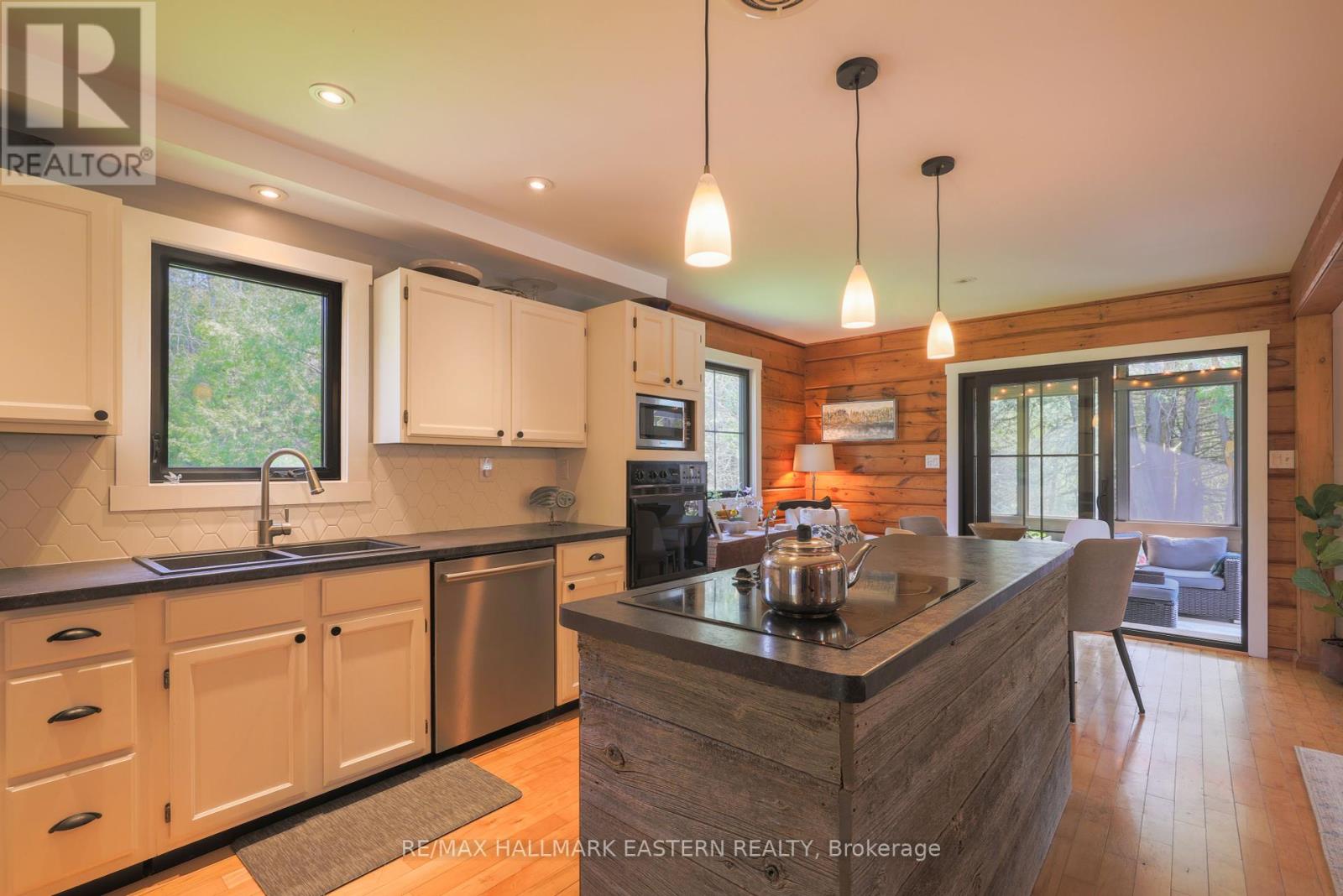 1611 County Road 4, Douro-Dummer, Ontario  K0L 2H0 - Photo 11 - X12142739