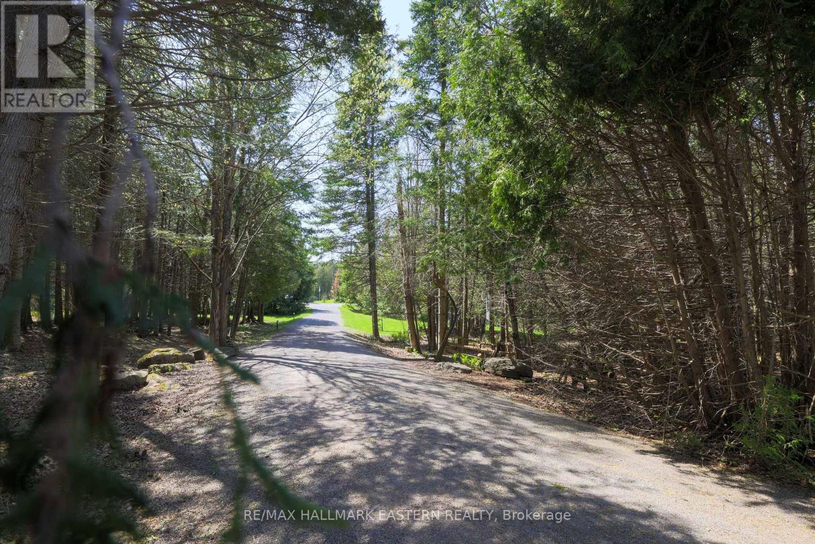 1611 County Road 4, Douro-Dummer, Ontario  K0L 2H0 - Photo 3 - X12142739