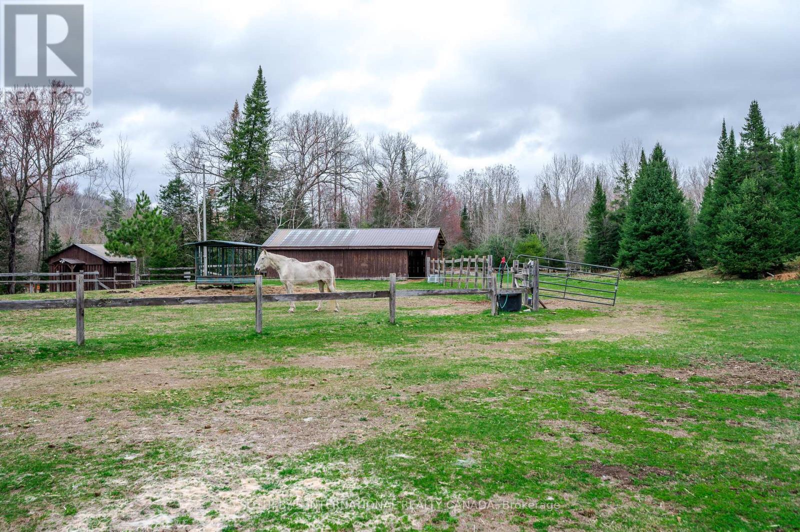 2004a Bay Lake Road, Bancroft, Ontario  K0L 1C0 - Photo 50 - X12142766