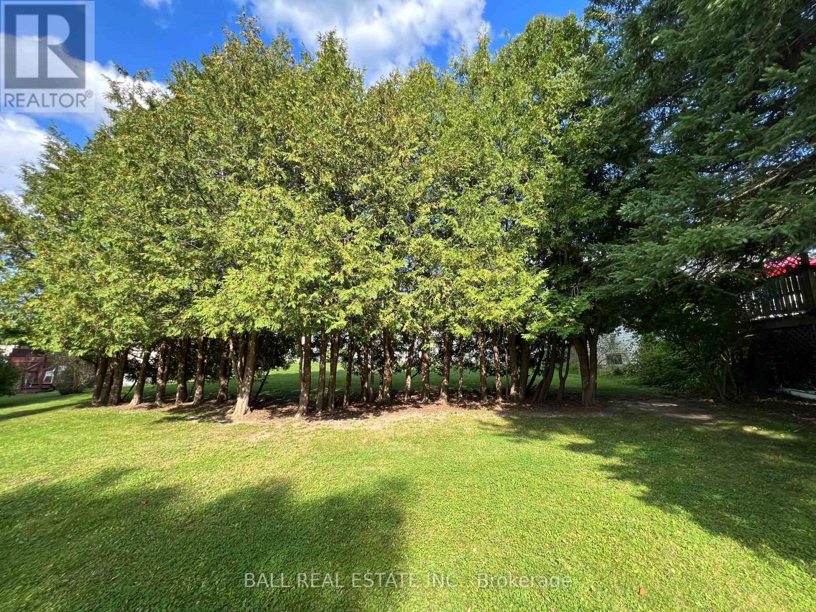 1183 Chemong Road, Peterborough North (North), Ontario  K9J 6X2 - Photo 37 - X12143650