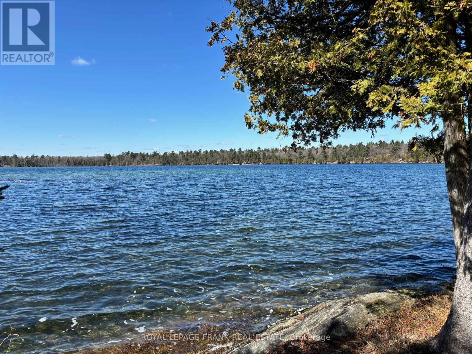 185 Julian Lake Road, North Kawartha, Ontario  K0L 3E0 - Photo 13 - X12143931