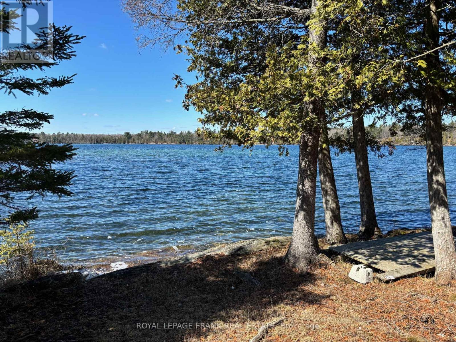 185 Julian Lake Road, North Kawartha, Ontario  K0L 3E0 - Photo 14 - X12143931