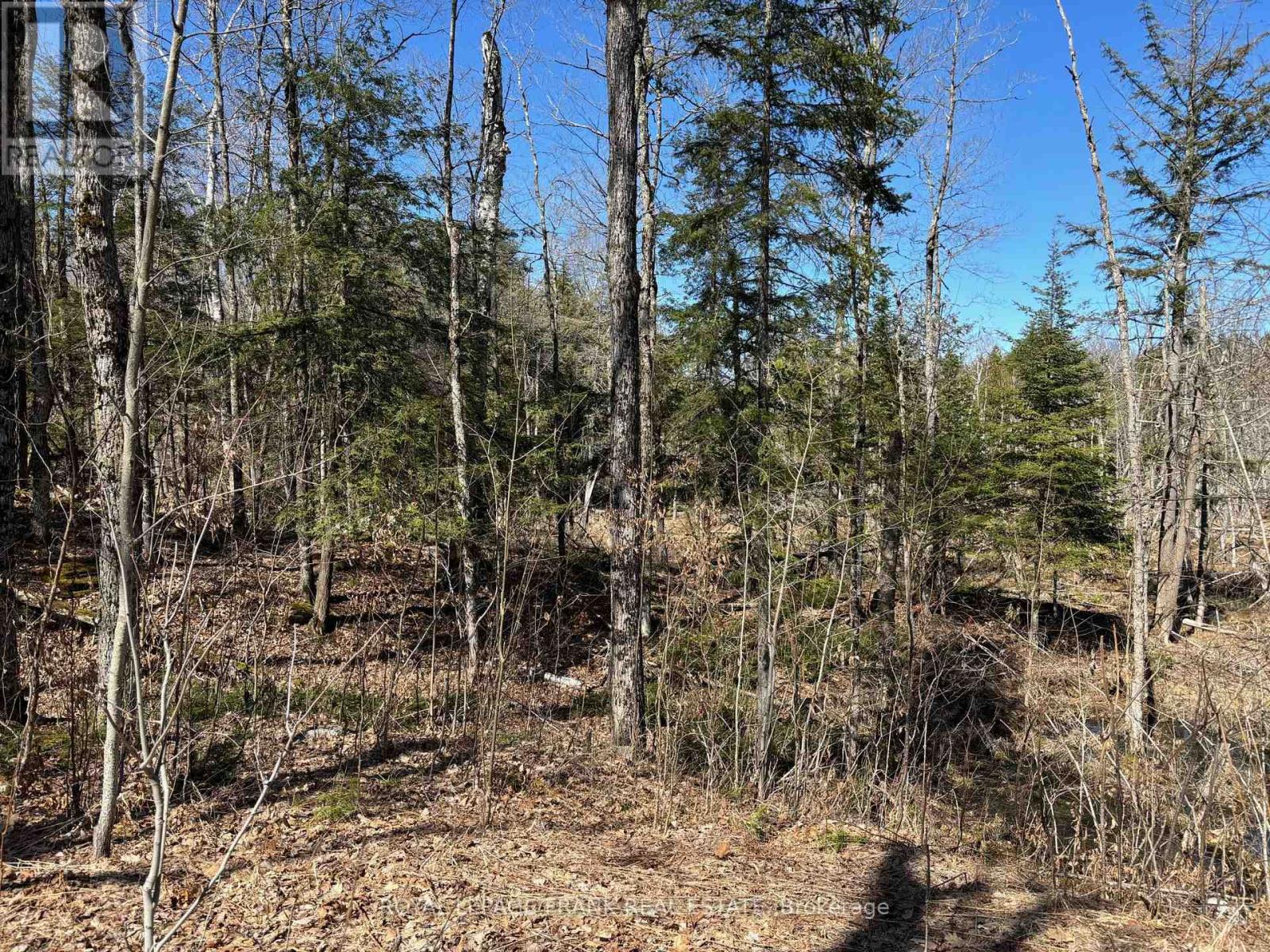 185 Julian Lake Road, North Kawartha, Ontario  K0L 3E0 - Photo 15 - X12143931