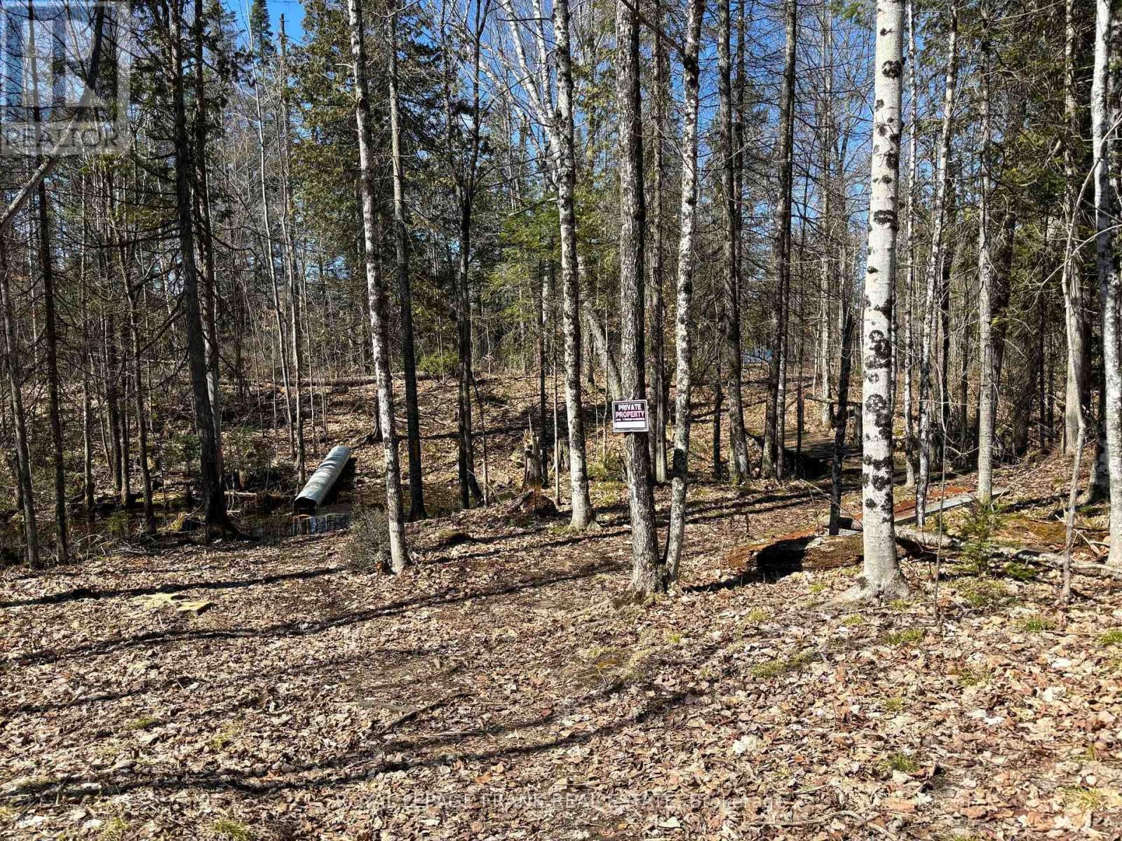 185 Julian Lake Road, North Kawartha, Ontario  K0L 3E0 - Photo 16 - X12143931