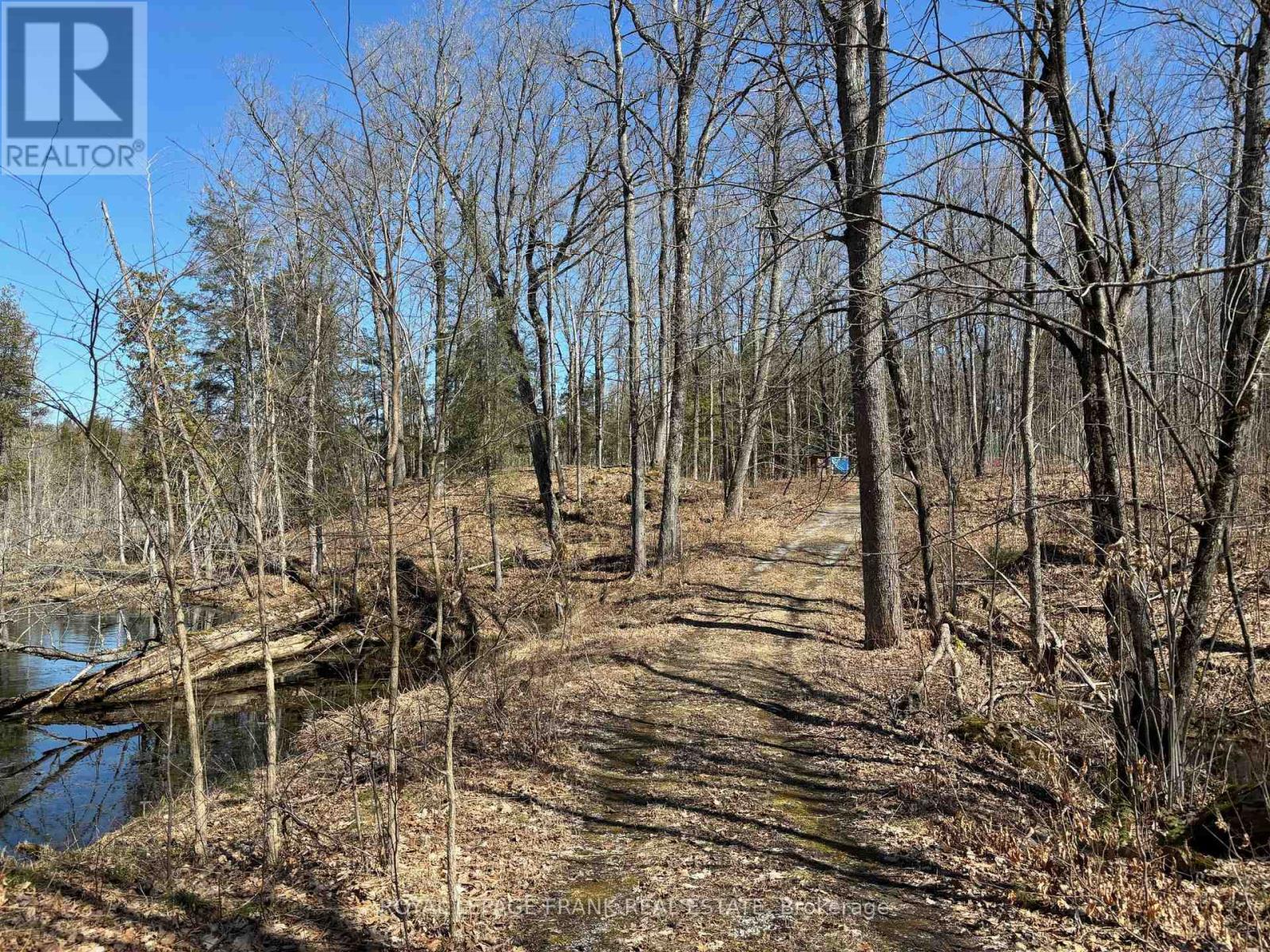 185 Julian Lake Road, North Kawartha, Ontario  K0L 3E0 - Photo 2 - X12143931