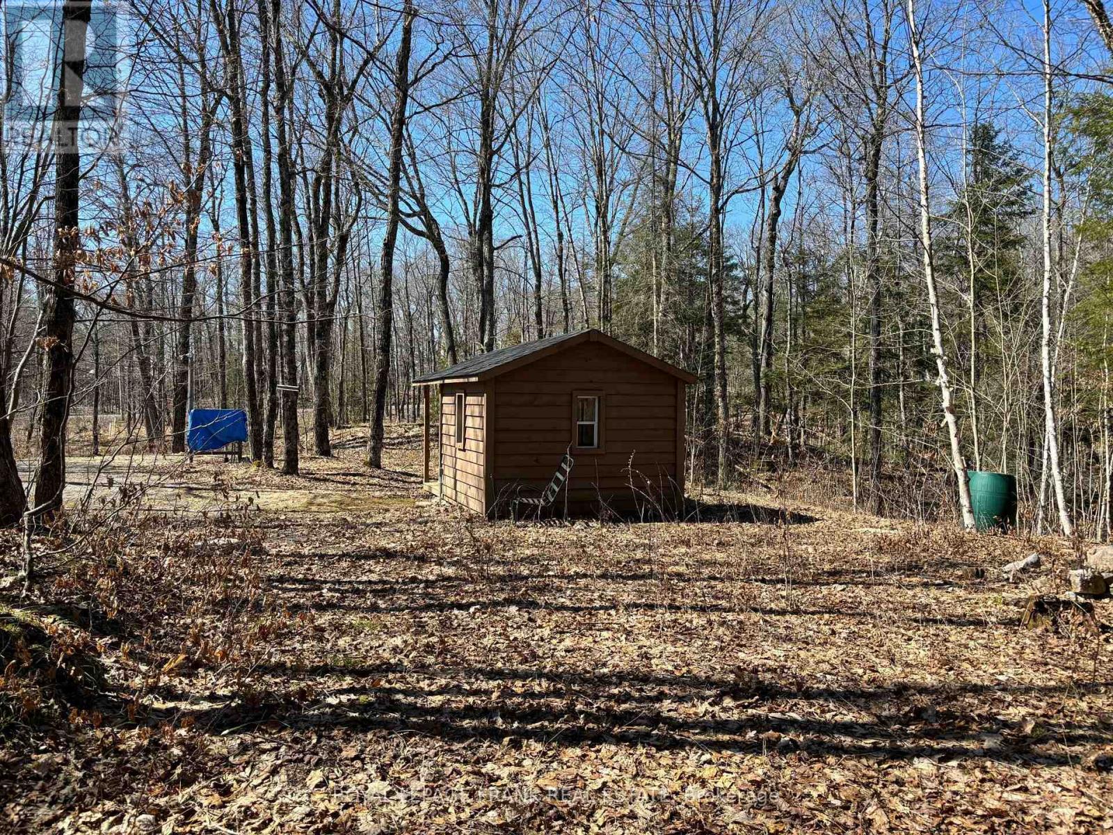 185 Julian Lake Road, North Kawartha, Ontario  K0L 3E0 - Photo 4 - X12143931