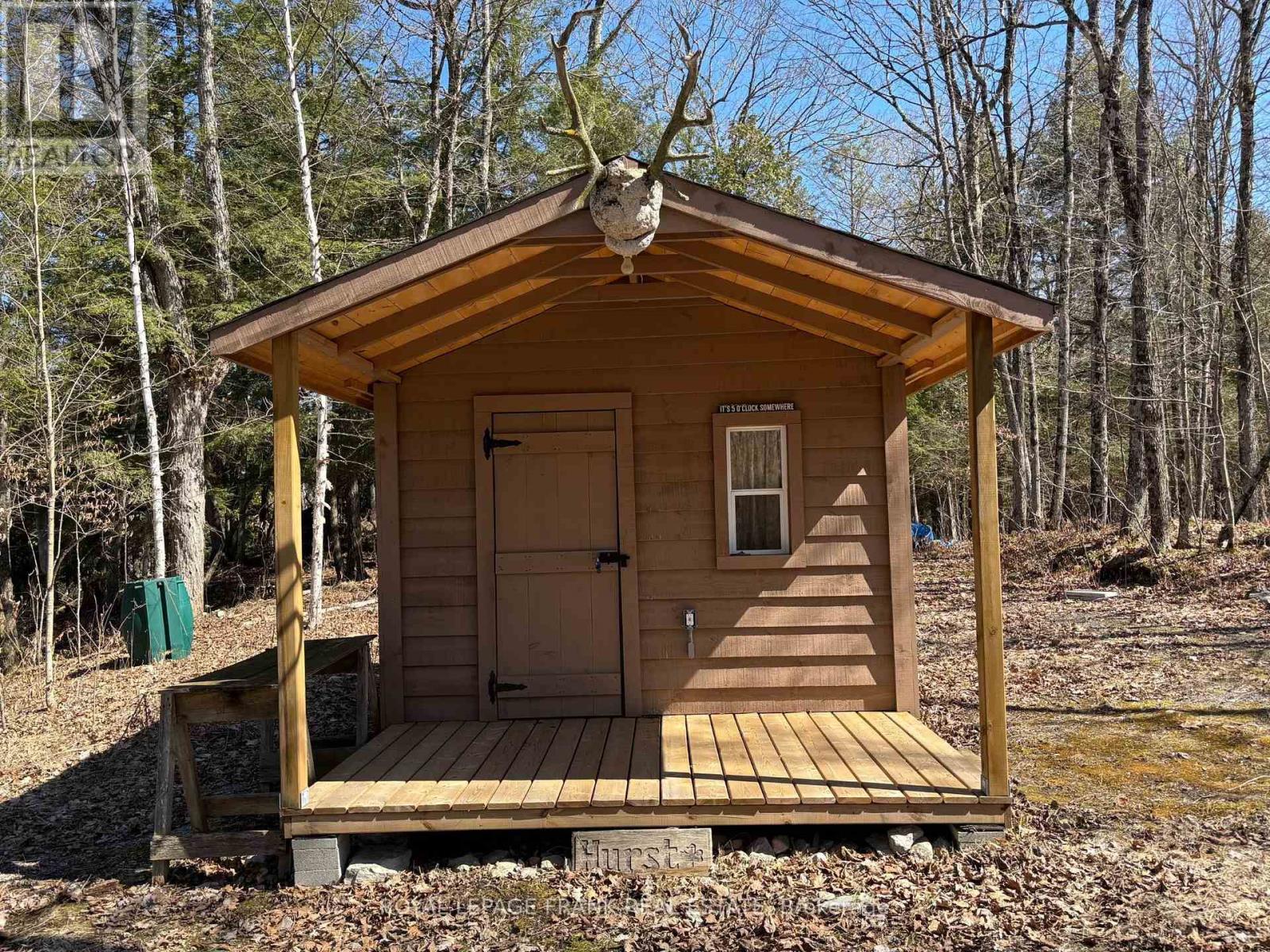 185 Julian Lake Road, North Kawartha, Ontario  K0L 3E0 - Photo 7 - X12143931