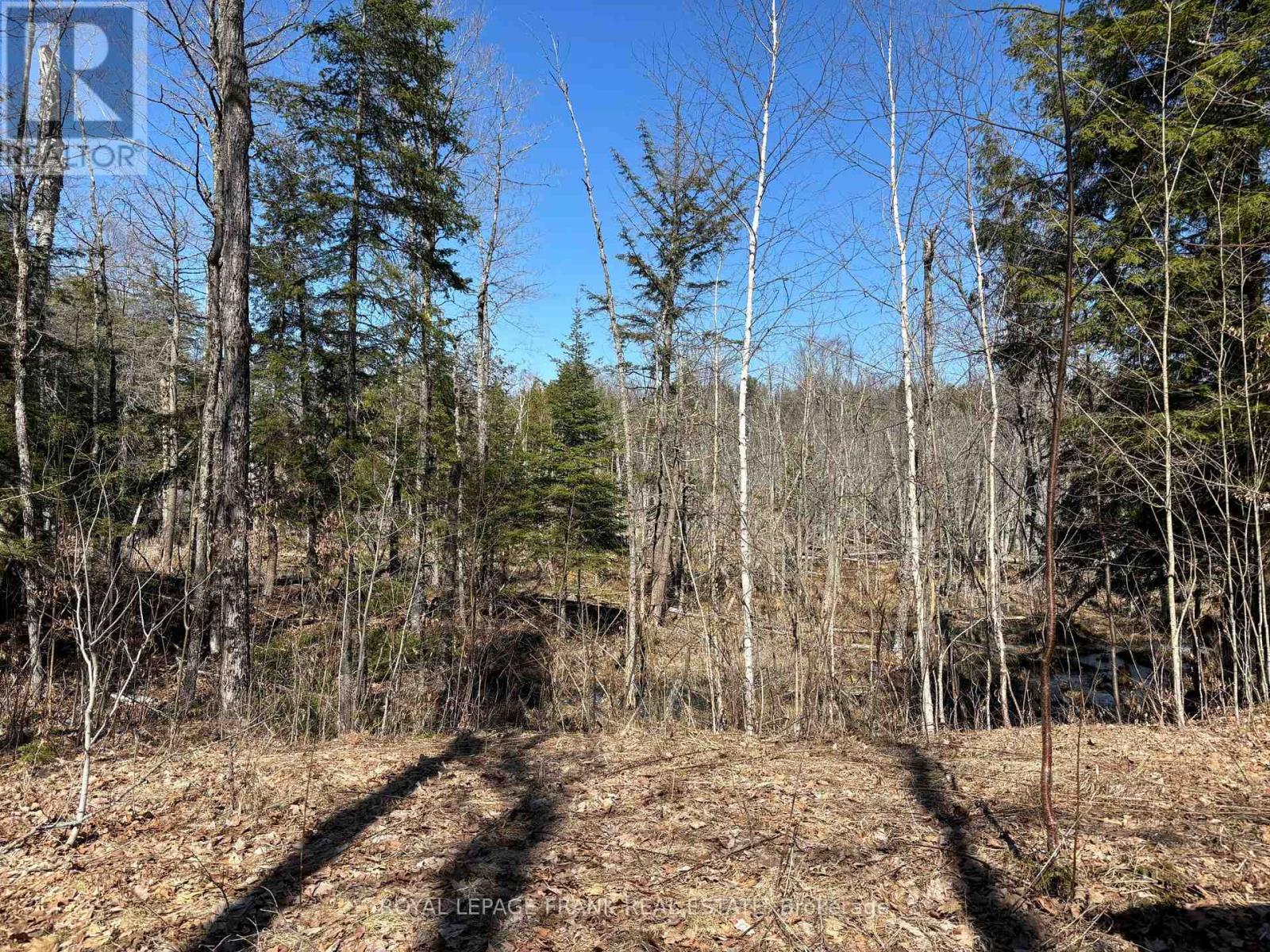 185 Julian Lake Road, North Kawartha, Ontario  K0L 3E0 - Photo 9 - X12143931