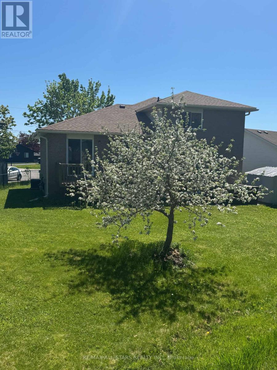 10 O'connell Court, Kawartha Lakes (Lindsay), Ontario  K9V 5Y1 - Photo 38 - X12144493