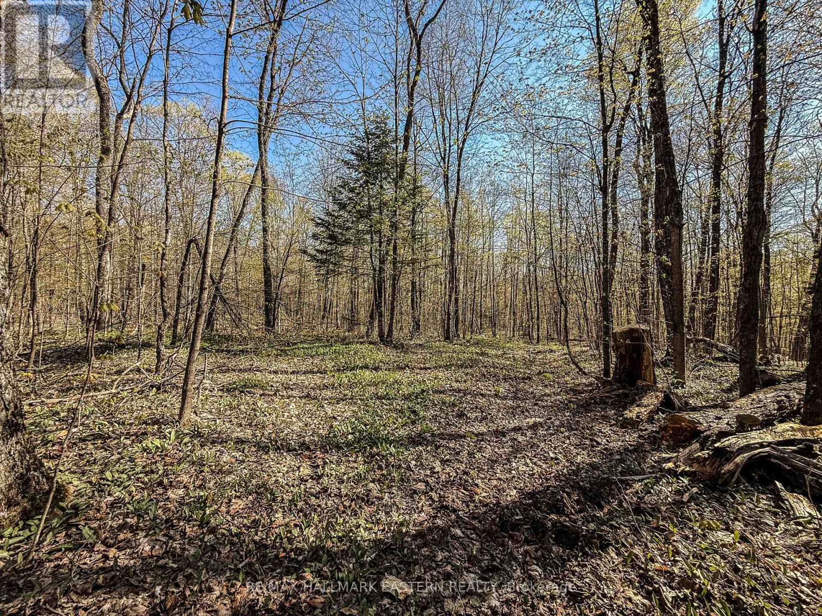 2494 Hadlington Road, Highlands East (Monmouth), Ontario  K0L 3K0 - Photo 12 - X12146596