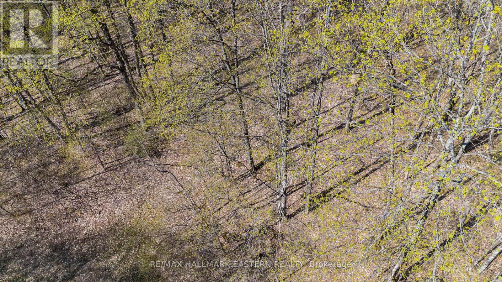 2494 Hadlington Road, Highlands East (Monmouth), Ontario  K0L 3K0 - Photo 13 - X12146596