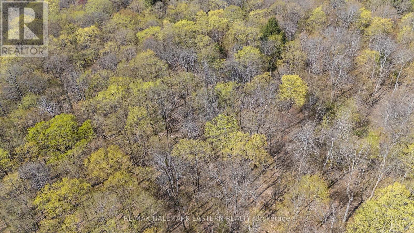 2494 Hadlington Road, Highlands East (Monmouth), Ontario  K0L 3K0 - Photo 14 - X12146596