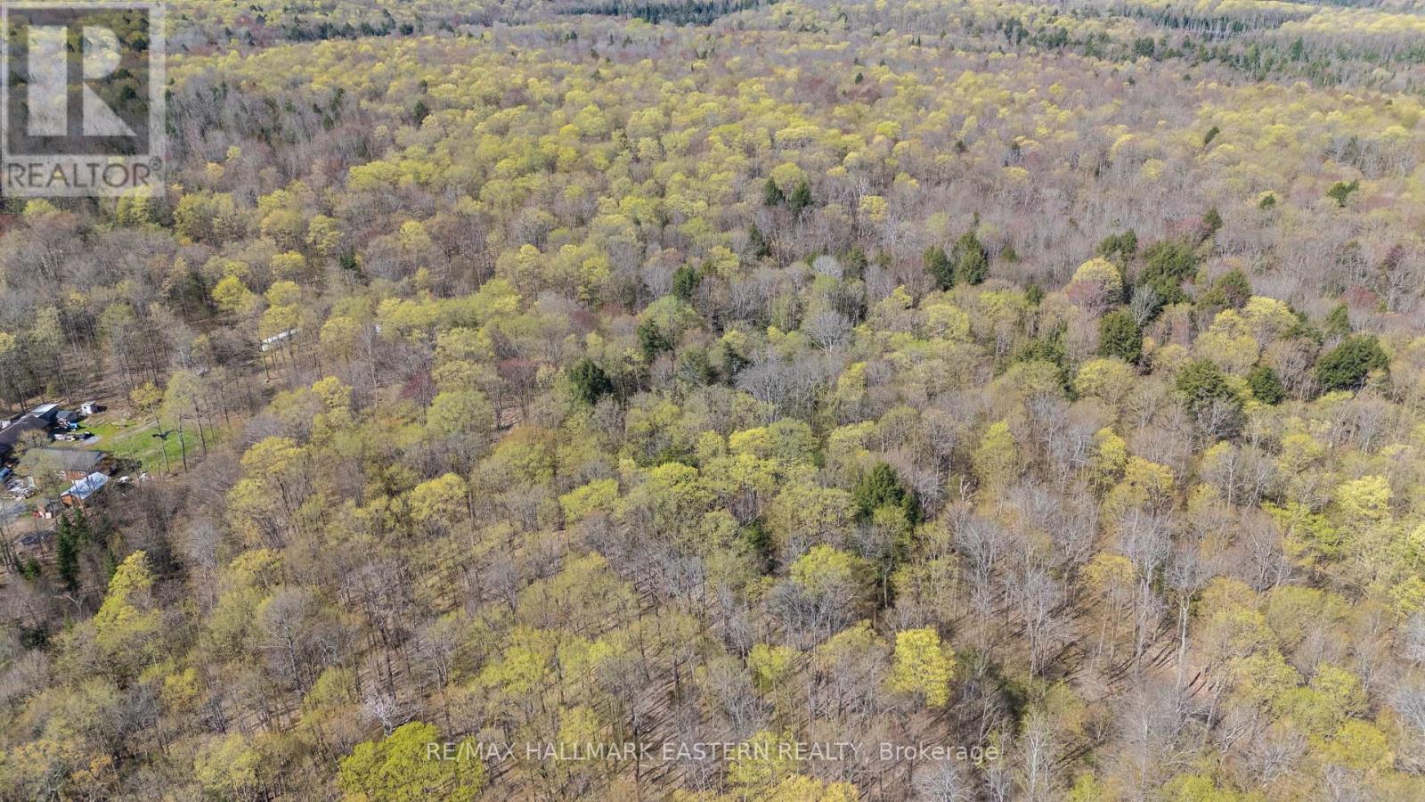 2494 Hadlington Road, Highlands East (Monmouth), Ontario  K0L 3K0 - Photo 16 - X12146596