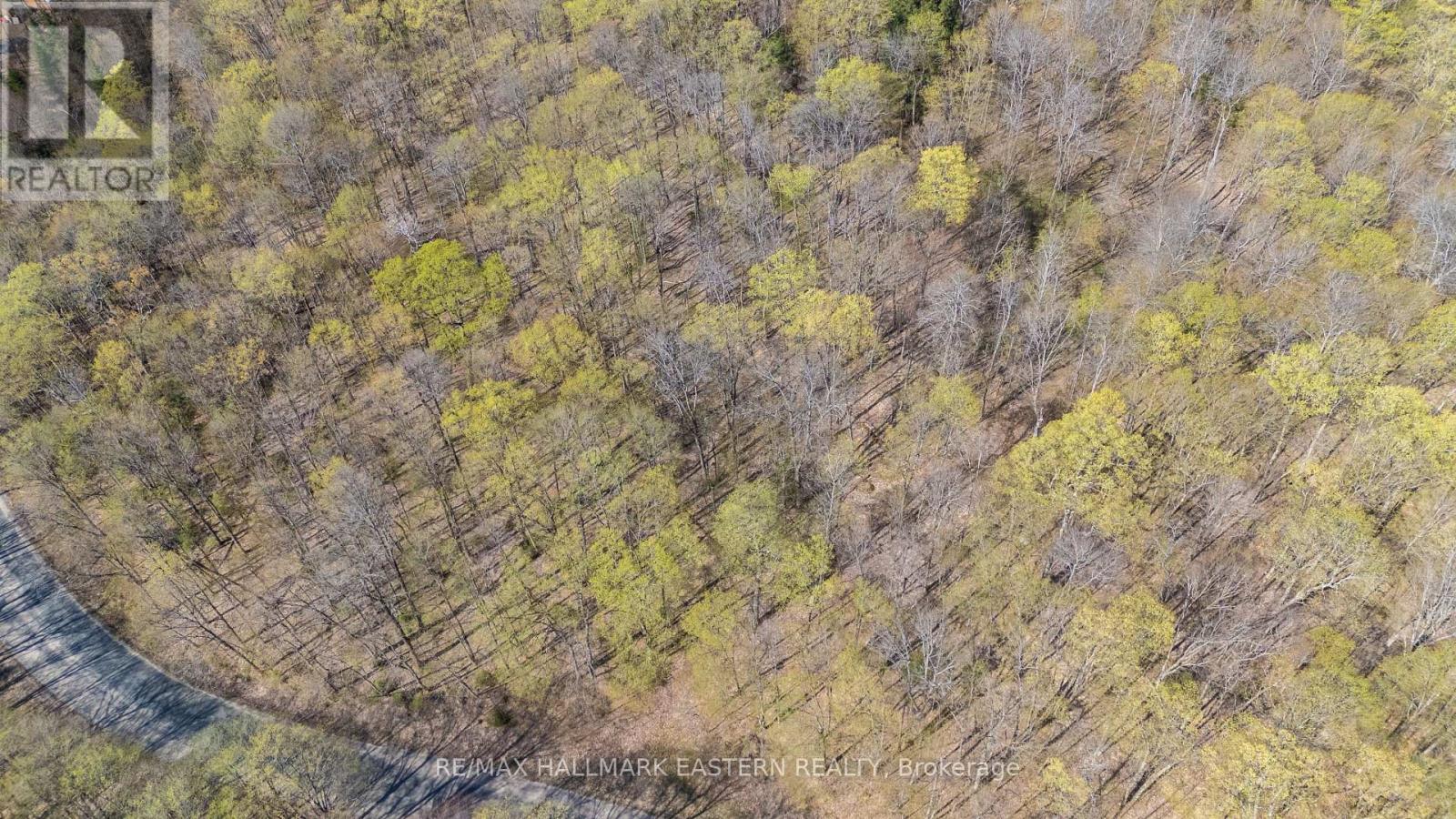 2494 Hadlington Road, Highlands East (Monmouth), Ontario  K0L 3K0 - Photo 17 - X12146596