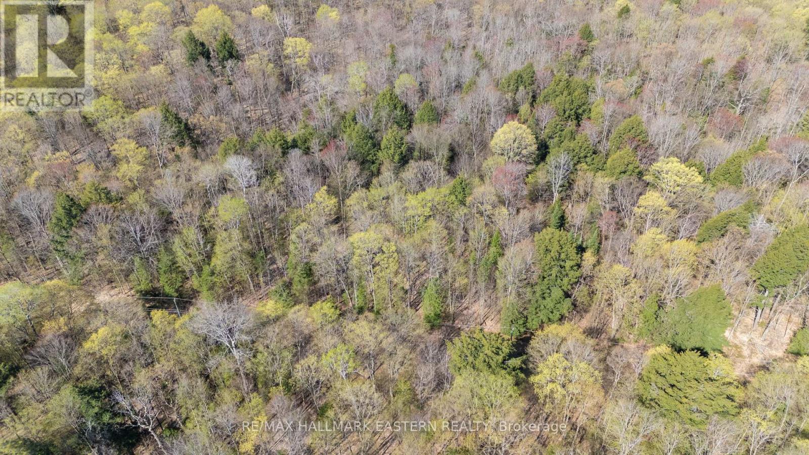 2494 Hadlington Road, Highlands East (Monmouth), Ontario  K0L 3K0 - Photo 18 - X12146596